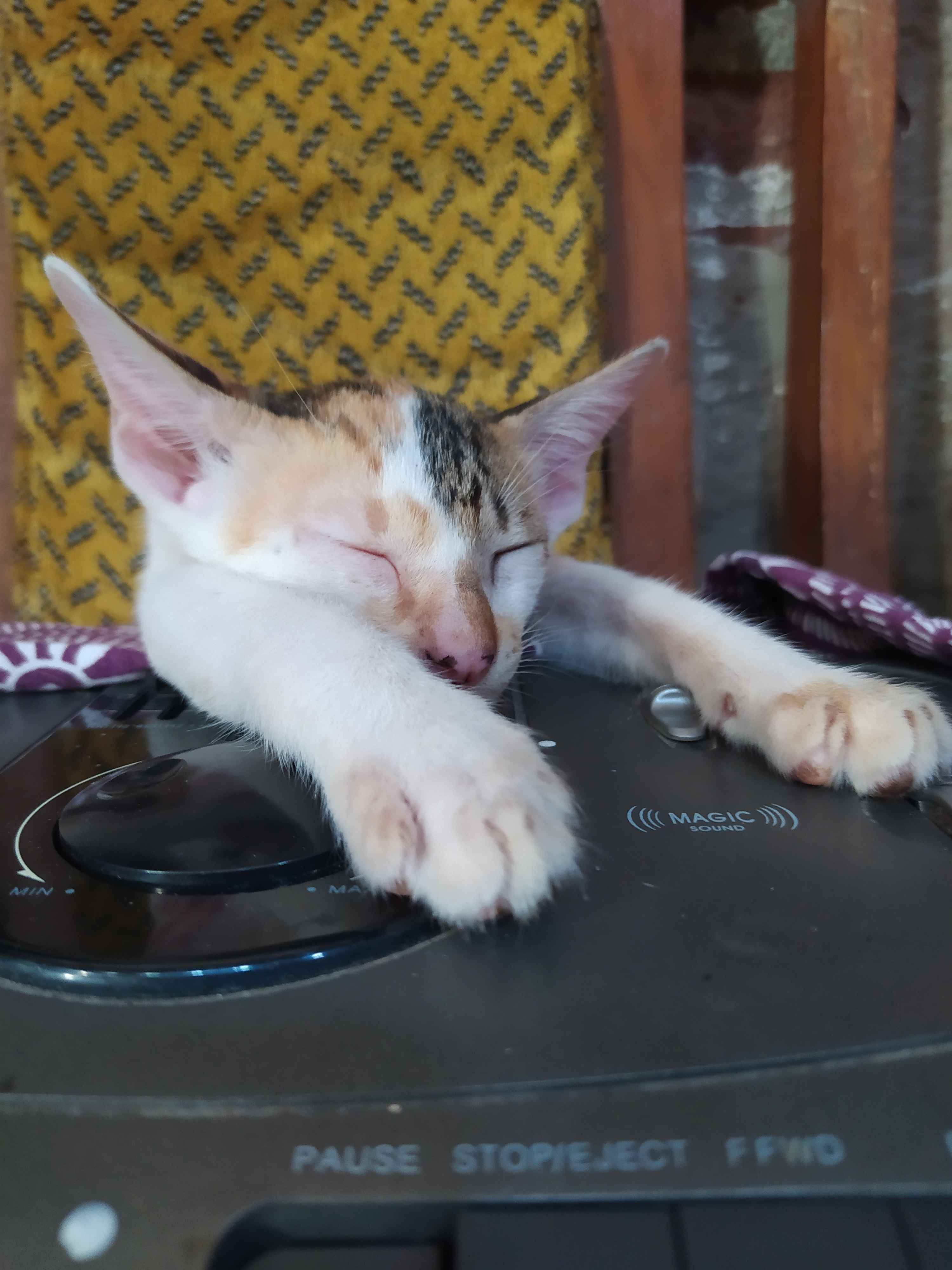 Klip Penjepit Lcd Alat Bantu Lem Lcd Touchscren / Tang Lcd