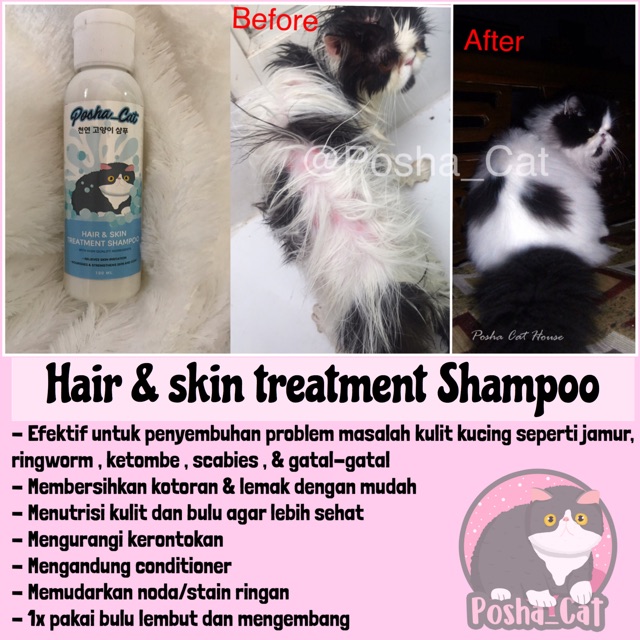 Paket hemat lengkap posha_cat (skincare kucing) perawatan kucing | grooming kucing