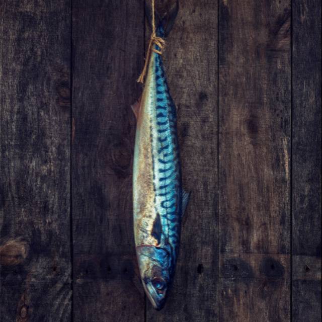 

Ikan Saba Utuh / Saba Whole / Mackerel / Makerel / Saba Impor / Ikan Makarel Atlantik 1 Kg