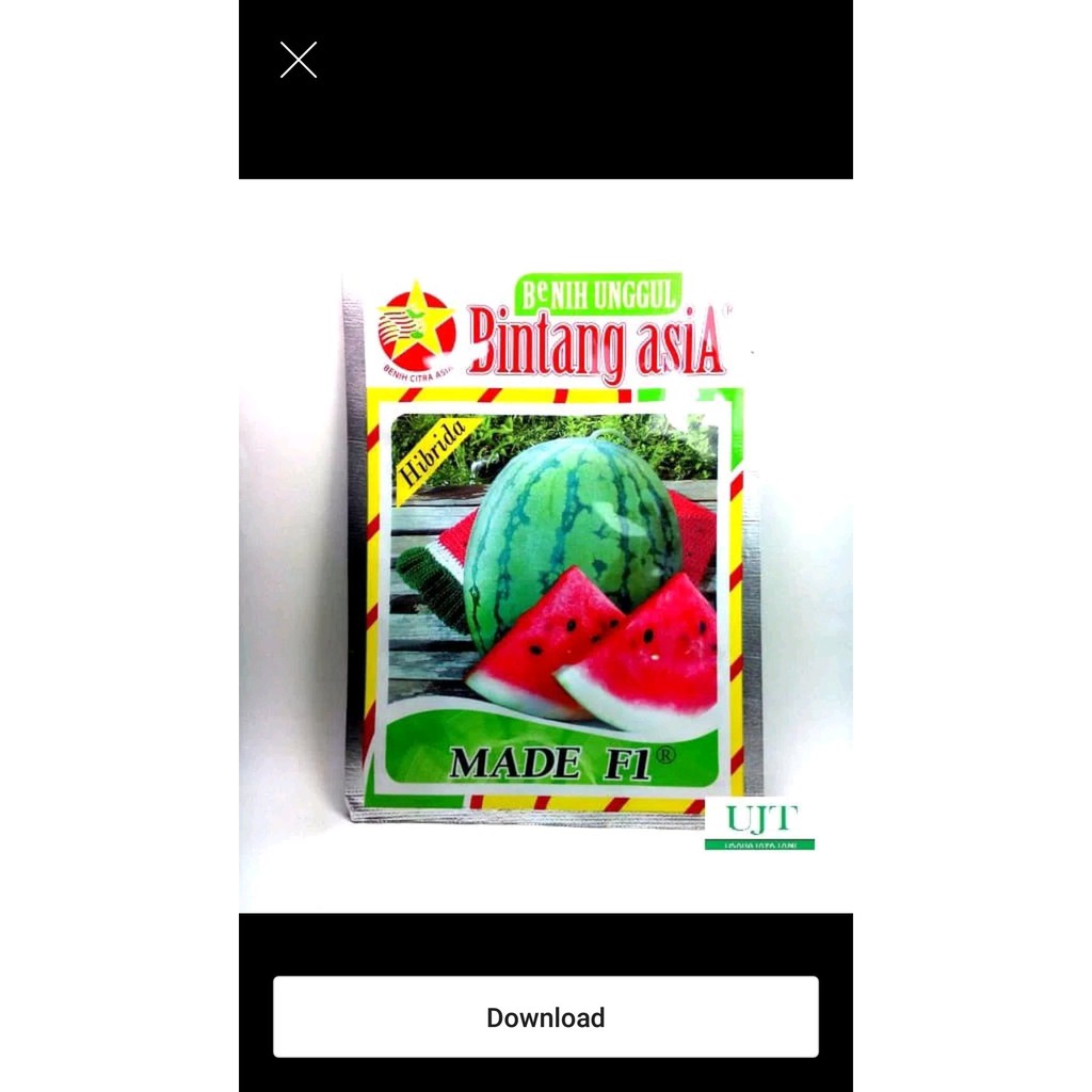 benih bibit semangka hibrida made F1 Limited