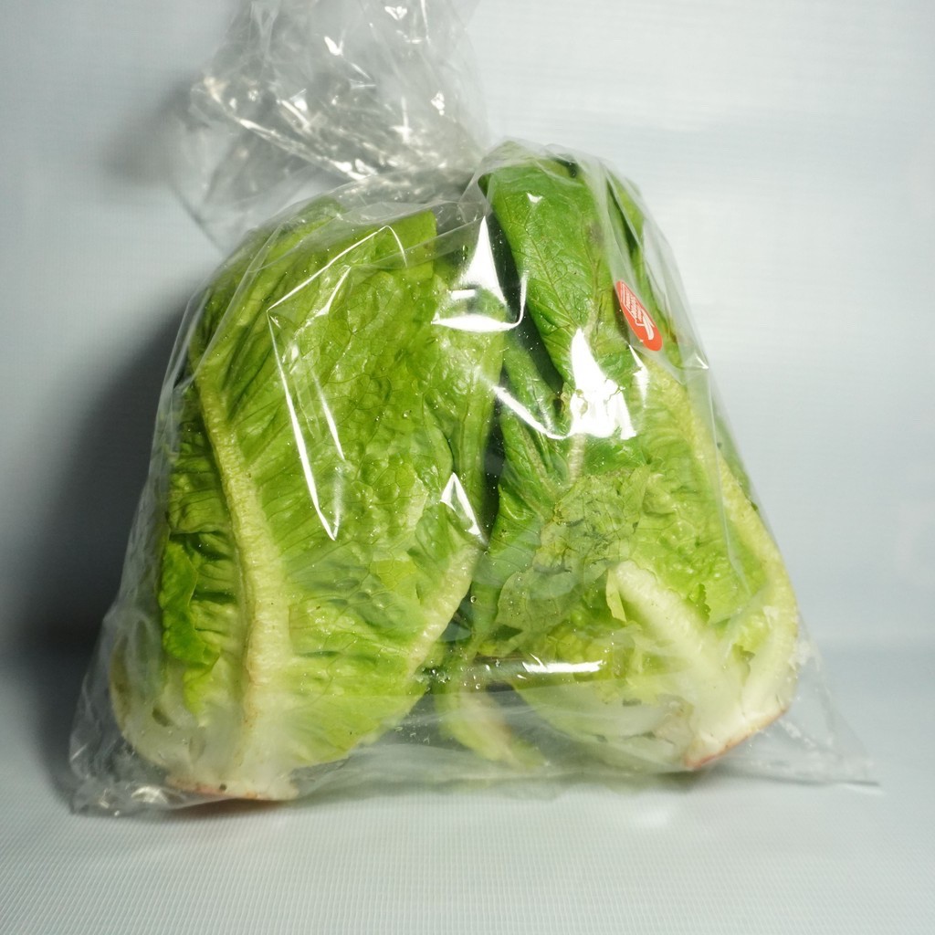 

Letuce Romaine (250gr)
