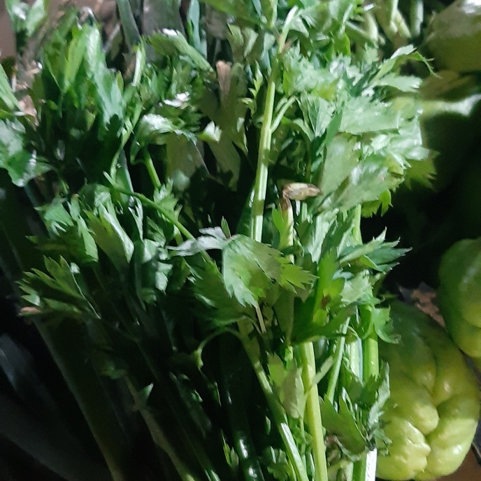 

Daun seledri/selederi 1kg (1000g)