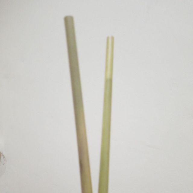 Bali Paper Straw & Brush Sikat Pembersih Sedotan Kaca Bambu Stainless Minum Kertas Ramah Lingkungan