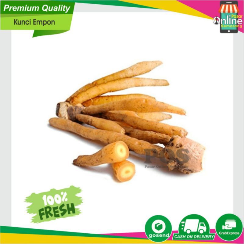 

Kunci / Empon Empon / Bumbu Dapur / Fresh / Segar / Bumbu Masakan Masak Semarang