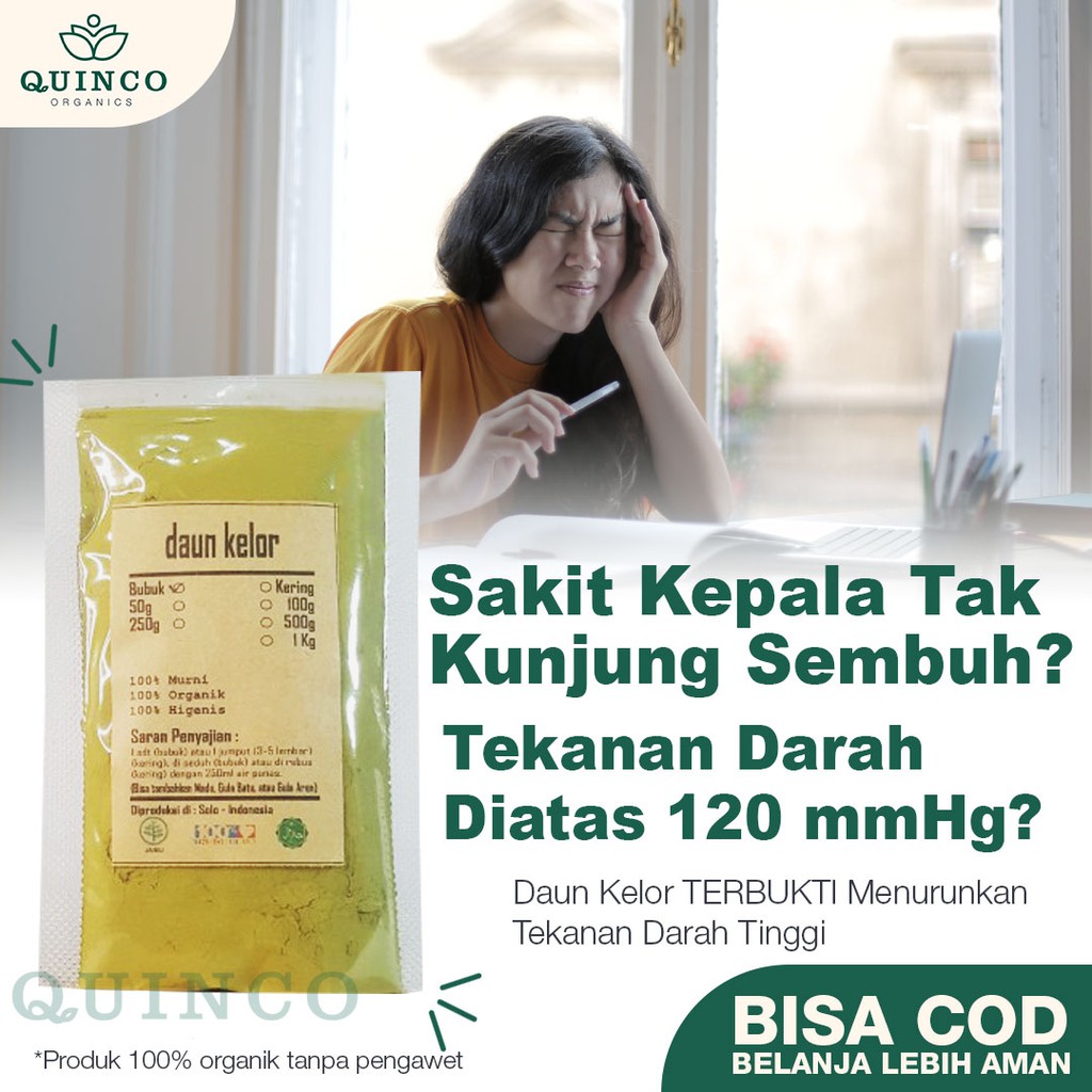 

JSR Tanaman rempah herbal obat diabetes kolesterol R38 DAUN KELOR moringa bubuk MURNI ORGANIK 100 gr