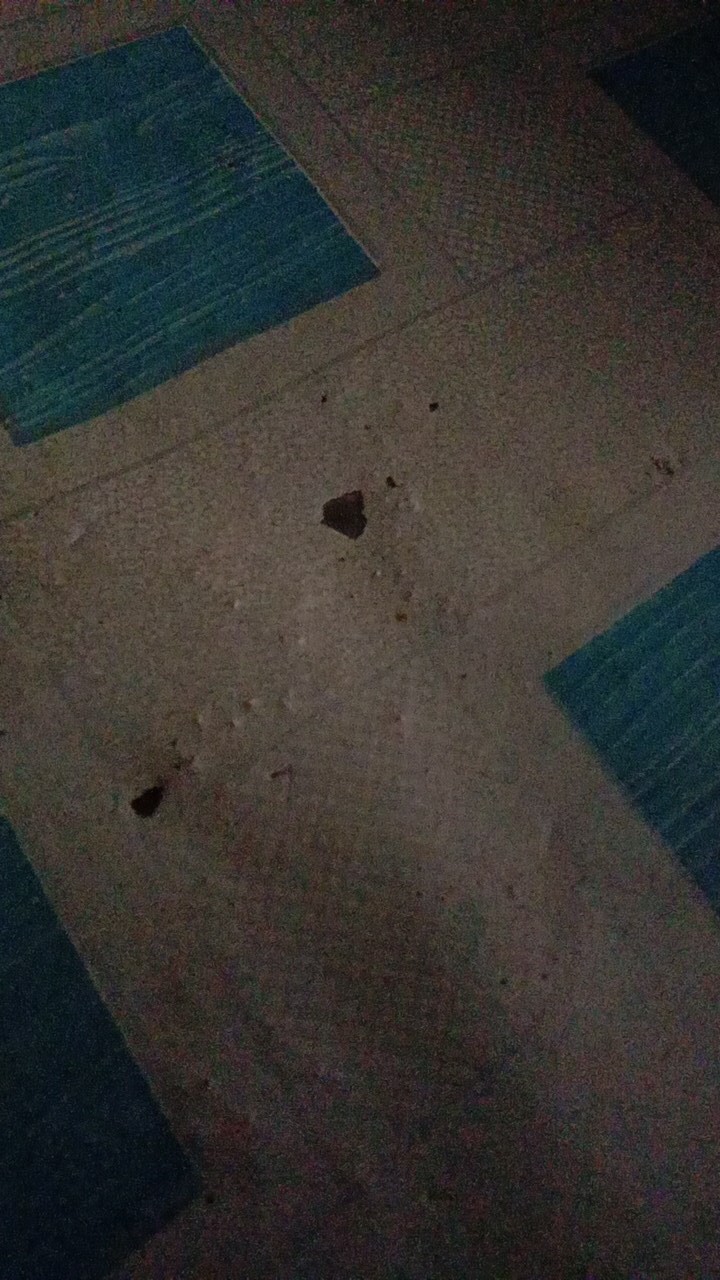 Baju Batik Pria  Lengan Pendek Slimfit Big Size M L Xl Xxl Atasan Kemeja Batik Lengan Pendek