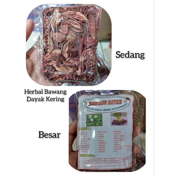 

Bawang Dayak Kering Kalimantan Herbal Kesehatan Kalimantan