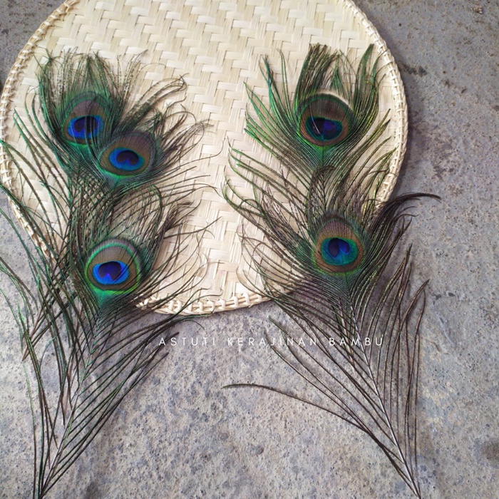 Bulu Merak Hias Imitasi Sintetis | Hiasan Kado | Dekorasi Bulu | Bulu Sintetis | Ornamen Bulu Merak