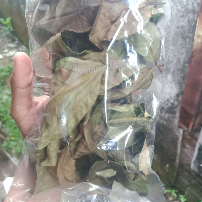 

Daun Salam Kering Murah Perpack