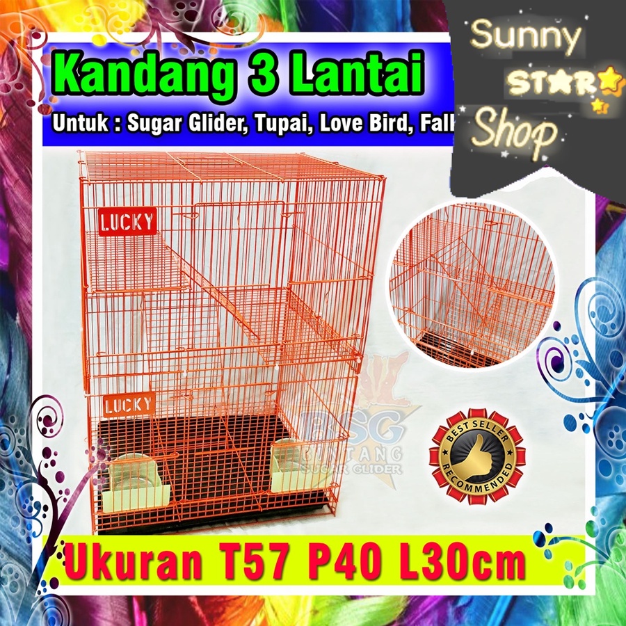 3 Tingkat Kandang Sugar Glider - Burung Love Birds - Falk - Sun Conure - Parkit - Tupai - Kandang Te