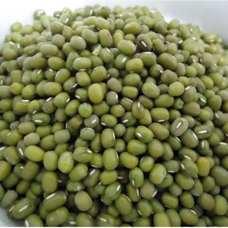 

kacang hijau lokal hasil panen pribadi