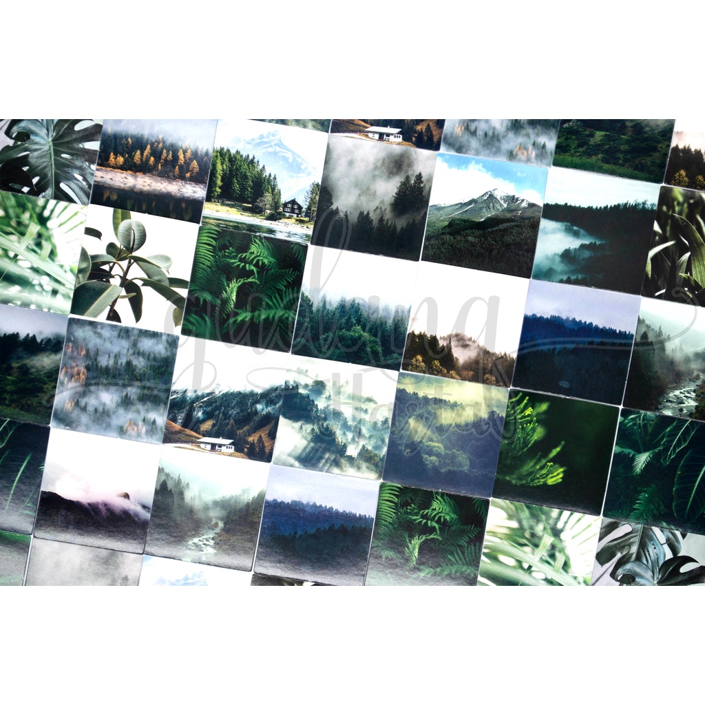 

GCC Stiker Green Nature Deco Sticker Motiif Alam Hijau DIY GCC 303606