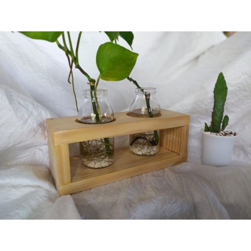 pot unik/ pot duduk/ pot kaca/ pot gantung/ vas bunga/ vas/ hiasan/ tanaman air/ botol/ pot botol