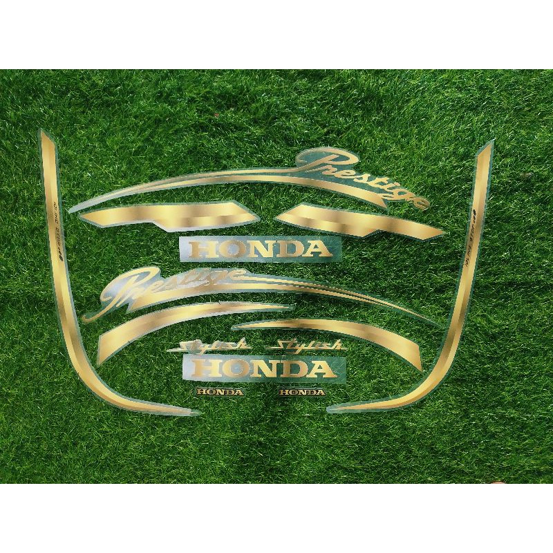 STRIPING TRANSPARAN SCOOPY 2021 PRESTIGE