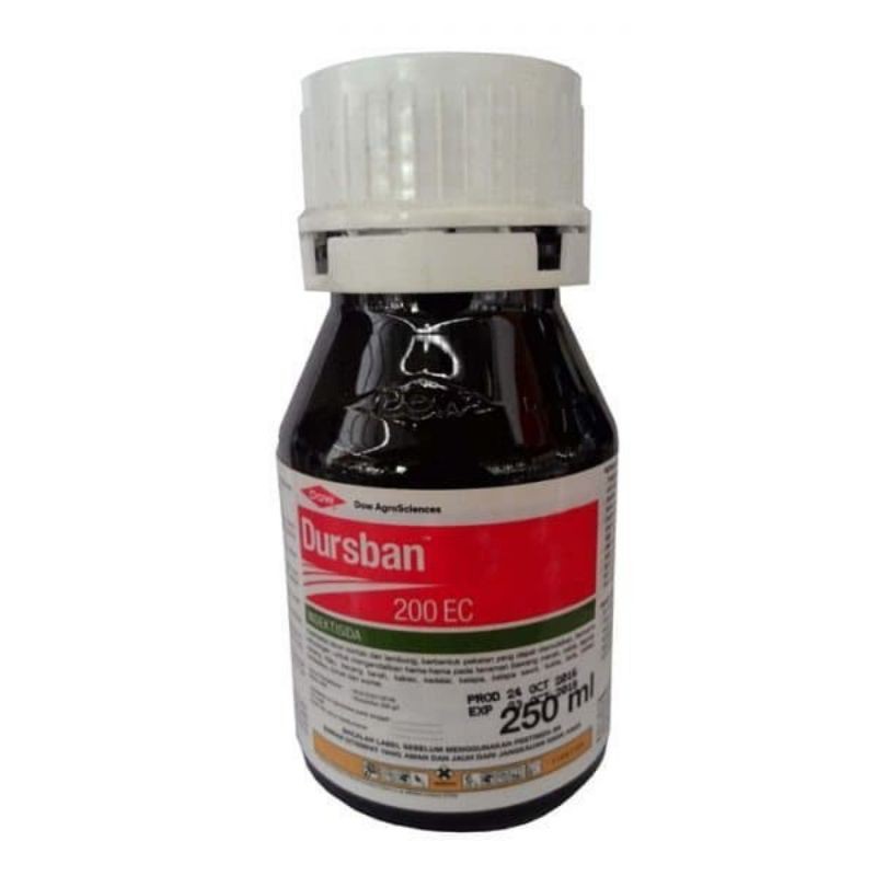 Dursban 200ec 250 ml insektisida pembasmi segala hama tanaman