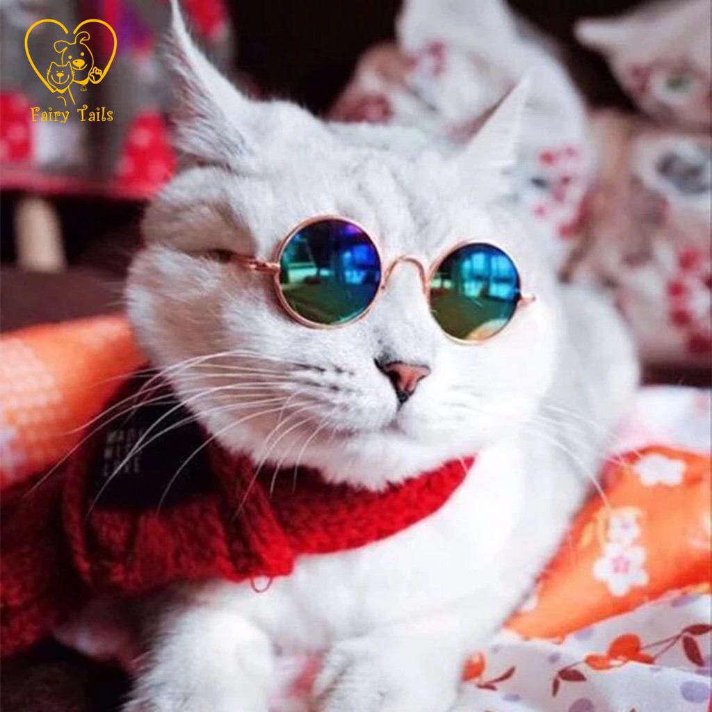 Kacamata Gaya Sunglasses Untuk Anabul Anjing dan Kucing