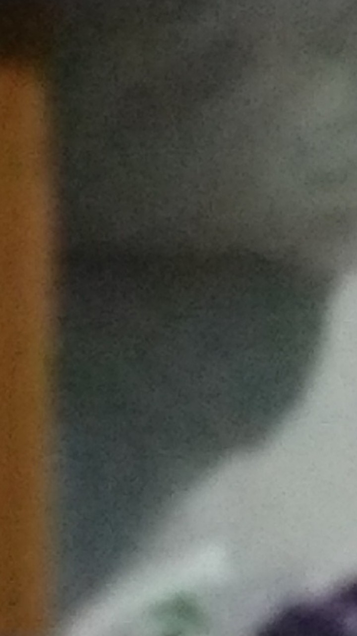 Lem Tikus Perekat Ampuh Perangkap Tikus Rumah I Lem Tikus Cobra Ampuh