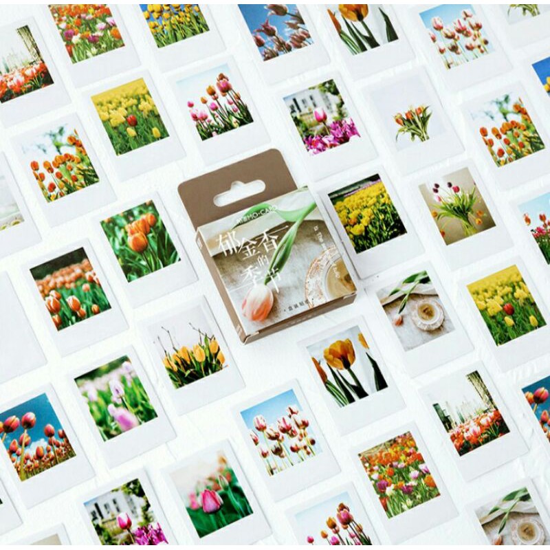 

46pcs aesthetic stiker box bunga tulip lucu utk dekorasi scrapbook/album
