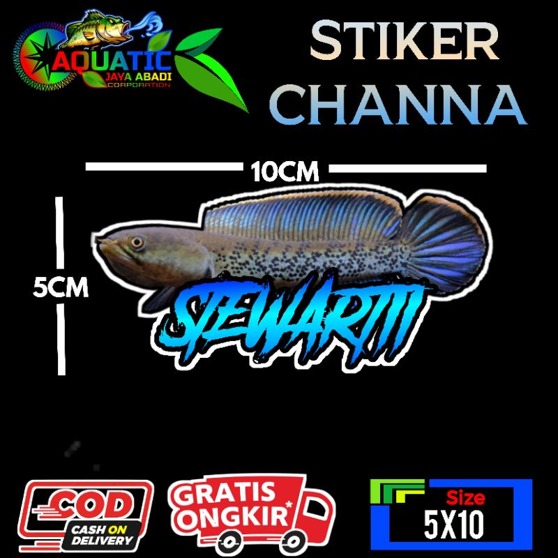 

Stiker Channa Stewarti