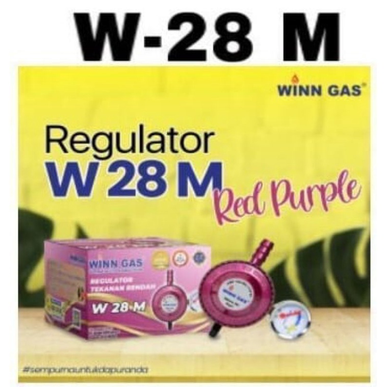 Winn Regulator Meter W-28M