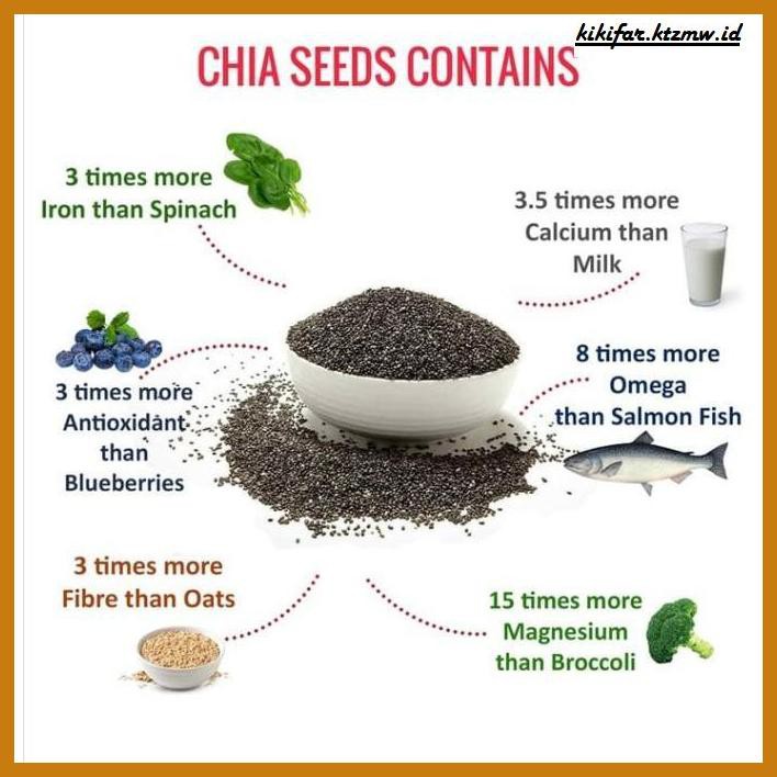 

GNIREKDOOF- PURE CHIA SEED MEXICO ORGANIC 100% - CHIASEED GRADE PREMIUM QUALITY - ORGANIC 100GR