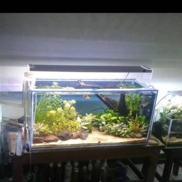Lampu aquascape lampu aquarium laut murah