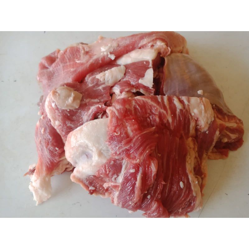 

TETELAN KAMBING