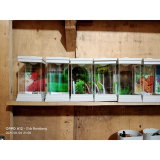  Lampu tidur aquarium mini cupang model tempel dinding 