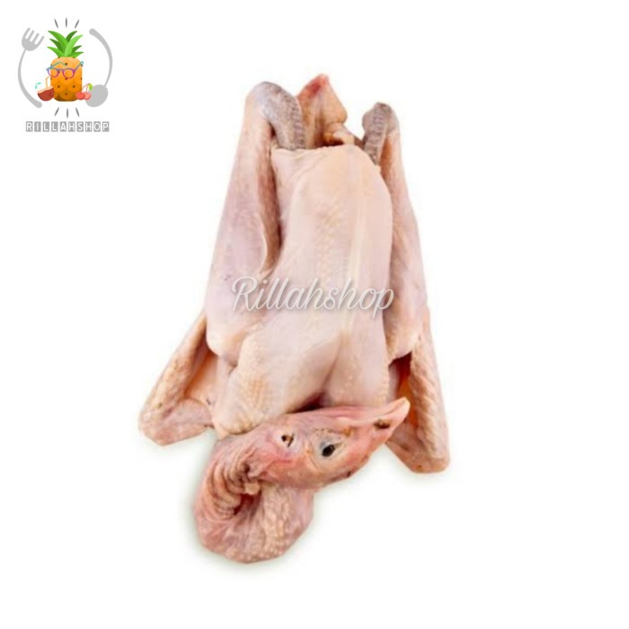 

Daging Ayam Kampung Utuh (700g)
