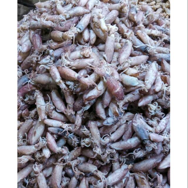 

Cumi asin uk 2-4cm (Grade B)