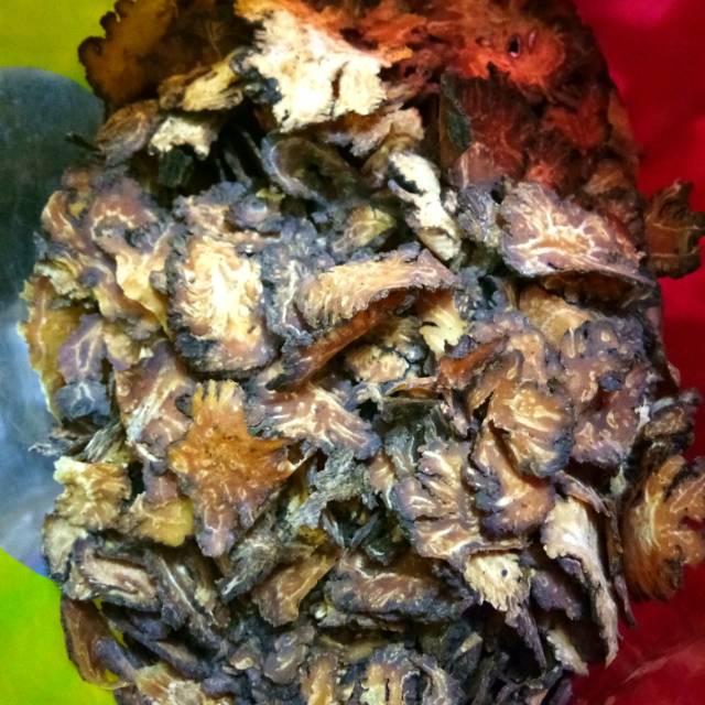 

Chuan xiong / chuan kiong lovage rhizoma 100gr