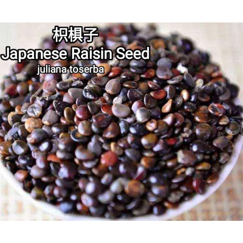 

Zhi Ci Zi 枳椇子Japanese Raisin Seed Hovenia Dulcis 100 gram