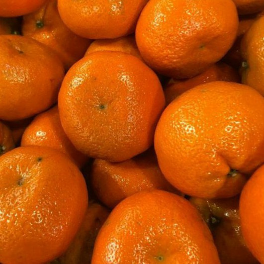

Buah Jeruk Mandarin 1 Kg Fresh