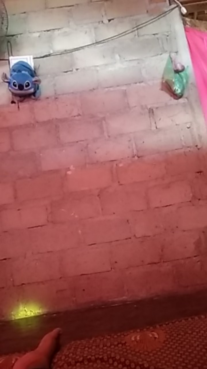 Bakerine Plus Pelembut Roti 100 Gram