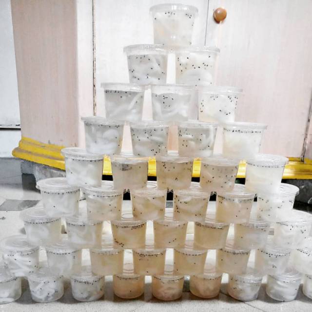 

Puding kelapa cup 100ml & 150ml & 200ml