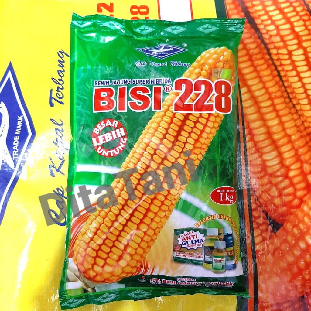 Bisa COD - Benih Bibit Jagung Super Hibrida BISI 228