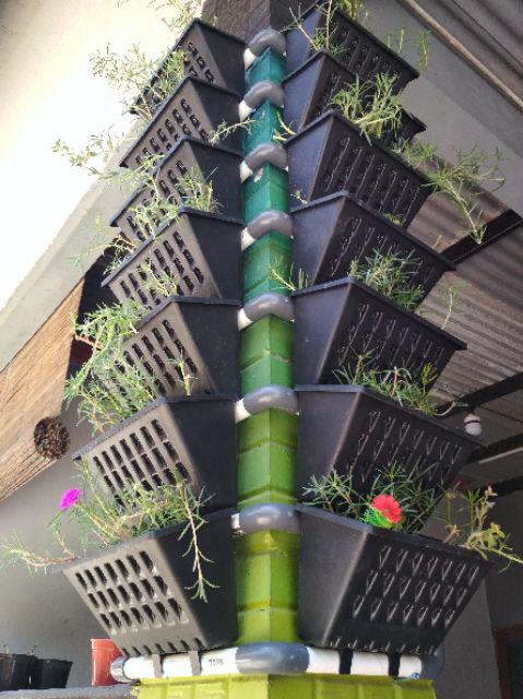 Pot Tempel Atau Argo Warna Hitam