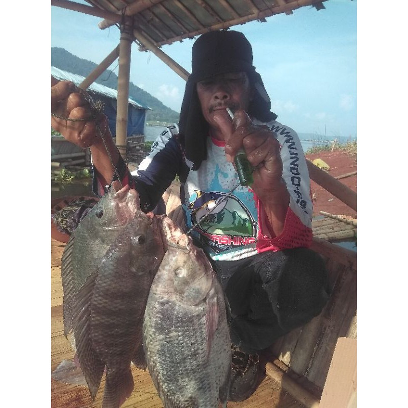 essen si oray hijau original