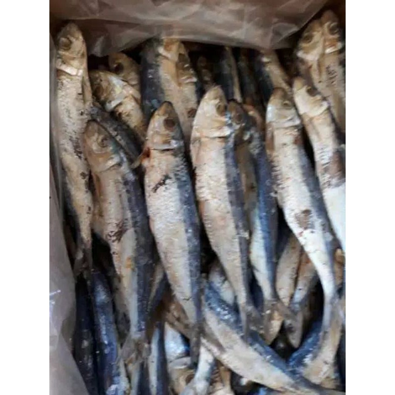 

IKAN ASIN DENCIS 100G