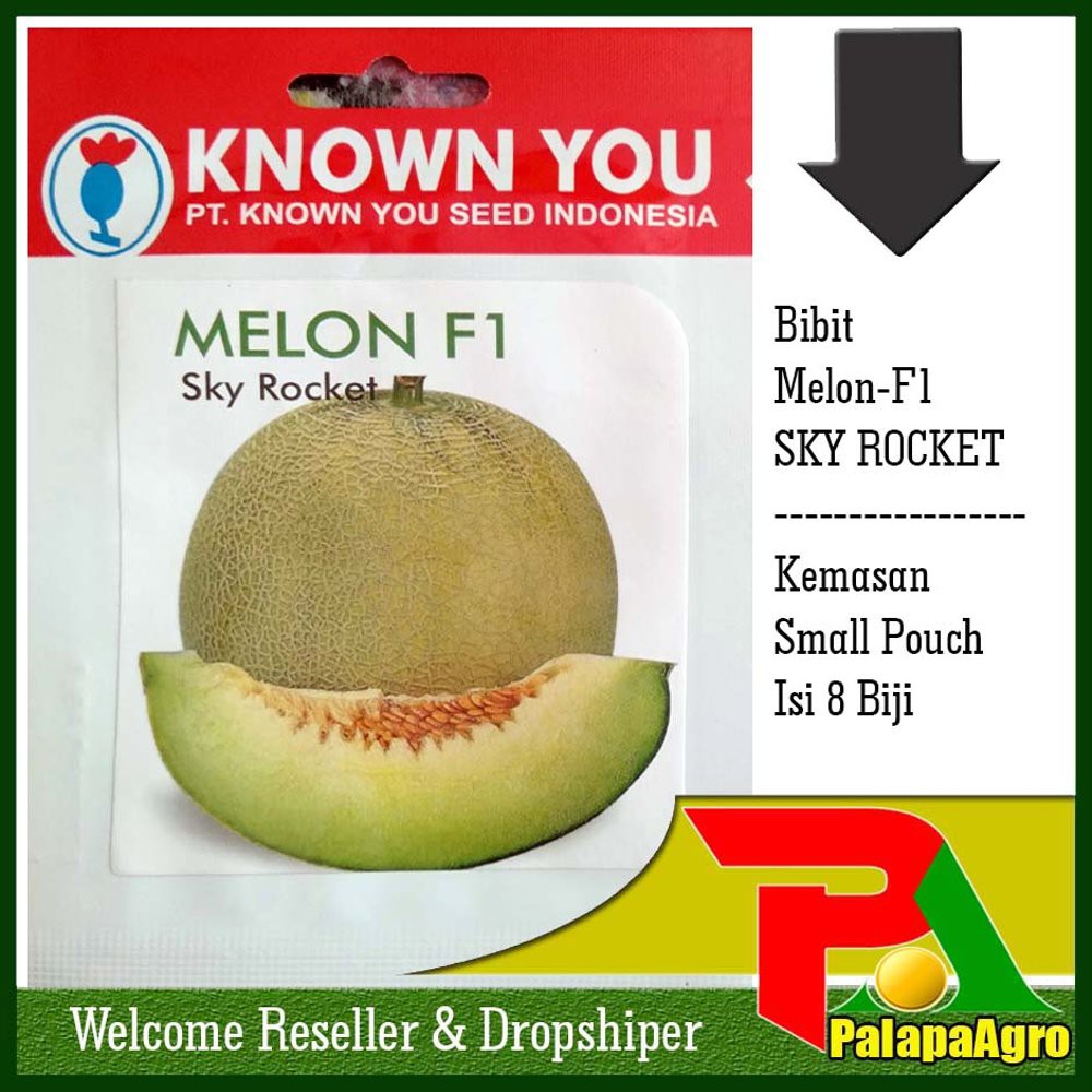 Benih Melon F1 SKY ROCKET & Bibit Melon F1 Limited