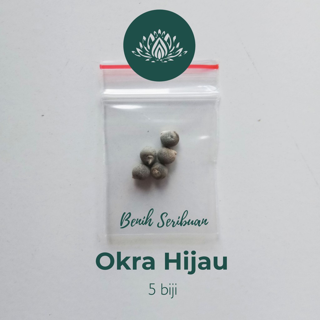 5 Bibit Okra Hijau Greenie F1 Hibrida Benih Sayuran Known You Seed Tanaman Sayur Unggul Berkualitas