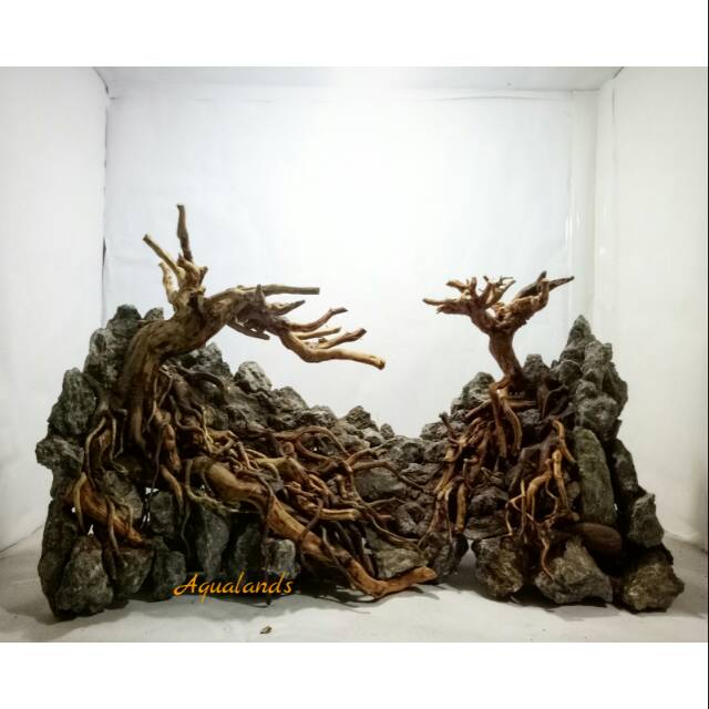 Hardscape Aquascape Jungle Dan Diorama Akar Kayu Rasamala Batu Erangga Shopee Indonesia