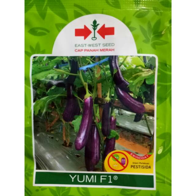Benih Terong Yumi F1 isi 1.100 butir