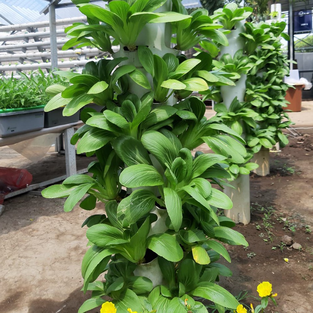 Pipa Growing Tower Hidroponik 40Lubang PG SBY