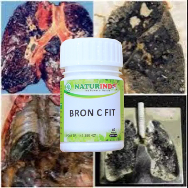 Obat herbal gurah paru paru2 suara sesak nafas batuk berdahak berlendir bronkitis TBC bron c fit-5