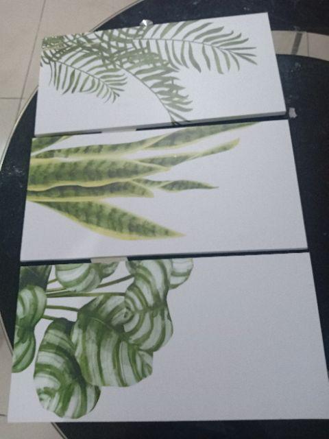 Craftpedia 1 Set Hiasan Dinding Tanaman 60x40 Cm