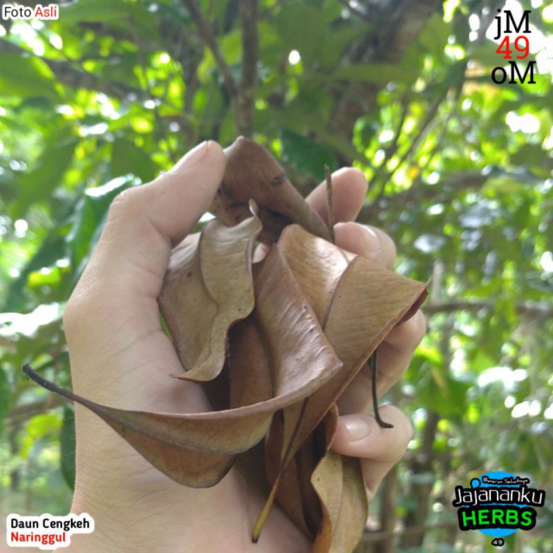 

250g Daun Cengkeh Kering Murah