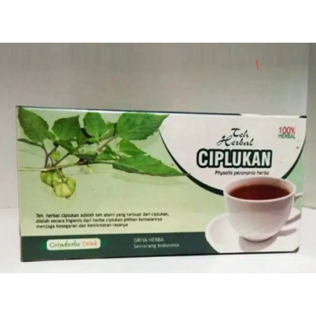 

TEH CELUP HERBAL CIPLUKAN Obat herbal khasiat ampuh mengobati diabetes atau gula darah dengan teh ciplukan original alami