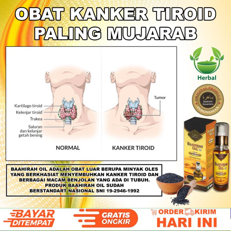 Minyak BAAHIRAH OIL Habbatussauda &amp; cengkeh Benjolan Minyak Gosok Minyak Balur bahira Minyak Oles Benjolan qahira baahira oil