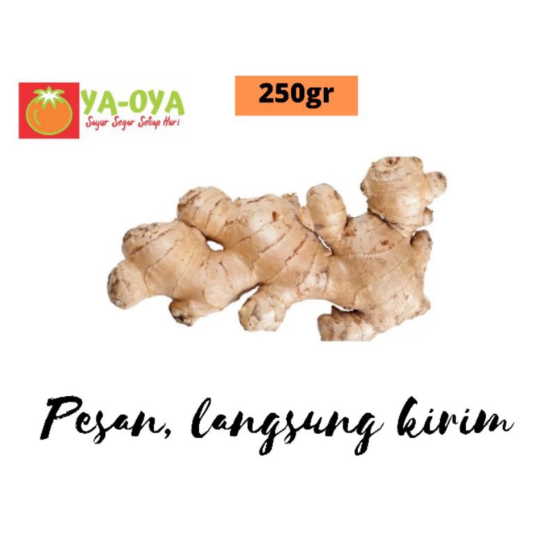 

JAHE GAJAH 250gr